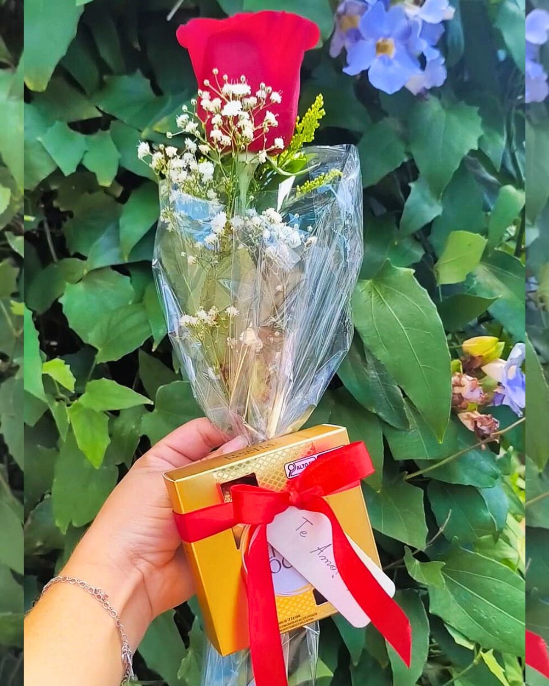 Rosa Encanto com Chocolate