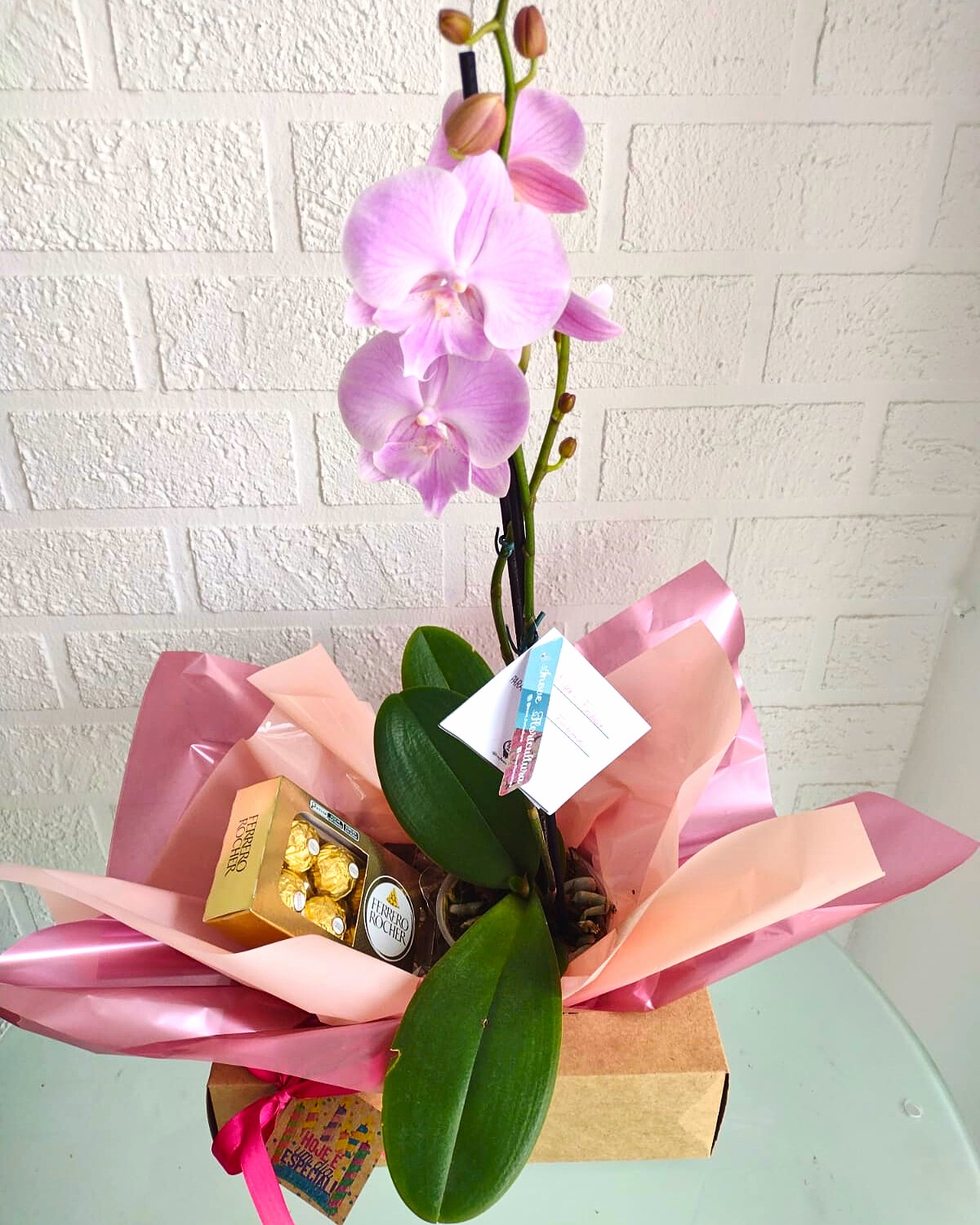 Orqu�dea Doce Harmonia